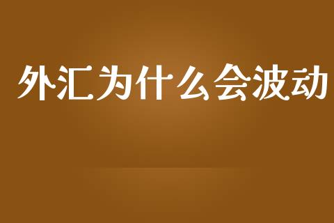 外汇为什么会波动_https://cj002.lansai.wang_财经问答_第1张