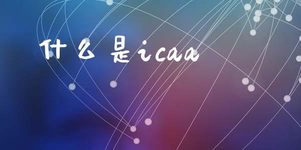 什么是icaa_https://cj002.lansai.wang_会计问答_第1张