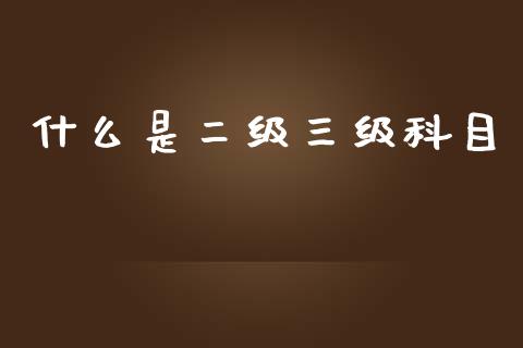 什么是二级三级科目_https://cj002.lansai.wang_会计问答_第1张