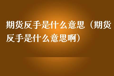期货反手是什么意思（期货反手是什么意思啊）_https://cj002.lansai.wang_金融问答_第1张