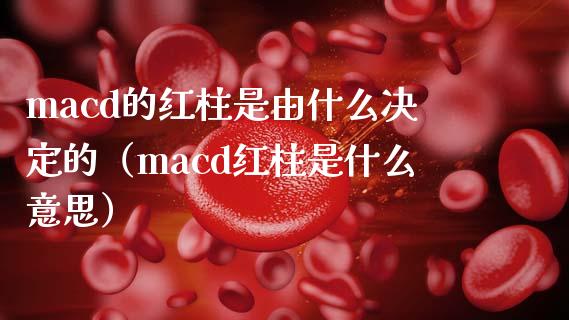 macd的红柱是由什么决定的（macd红柱是什么意思）_https://cj002.lansai.wang_财经问答_第1张