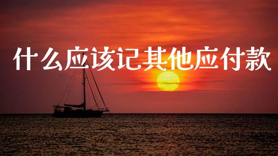 什么应该记其他应付款_https://cj002.lansai.wang_会计问答_第1张
