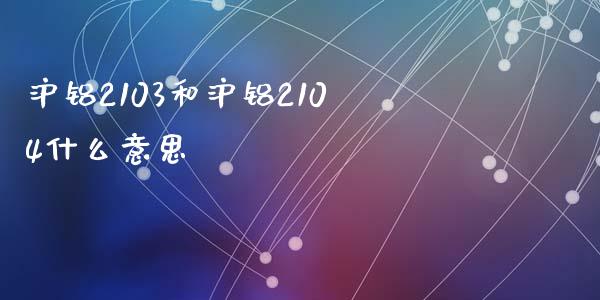 沪铝2103和沪铝2104什么意思_https://cj002.lansai.wang_期货问答_第1张