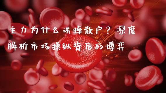 主力为什么洗掉散户？深度解析市场操纵背后的博弈_https://cj002.lansai.wang_保险问答_第1张