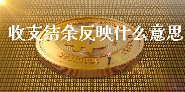收支结余反映什么意思_https://cj002.lansai.wang_会计问答_第1张