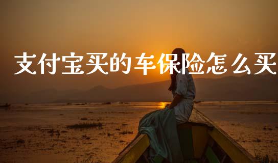 支付宝买的车保险怎么买_https://cj002.lansai.wang_保险问答_第1张