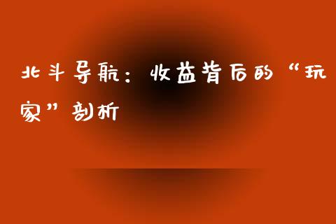 北斗导航：收益背后的“玩家”剖析_https://cj002.lansai.wang_财经百问_第1张
