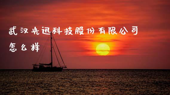 武汉光迅科技股份有限公司怎么样_https://cj002.lansai.wang_金融问答_第1张
