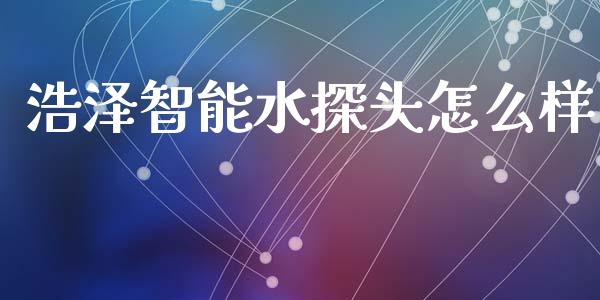 浩泽智能水探头怎么样_https://cj002.lansai.wang_期货问答_第1张