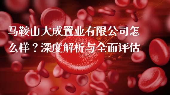 马鞍山大成置业有限公司怎么样？深度解析与全面评估_https://cj002.lansai.wang_会计问答_第1张