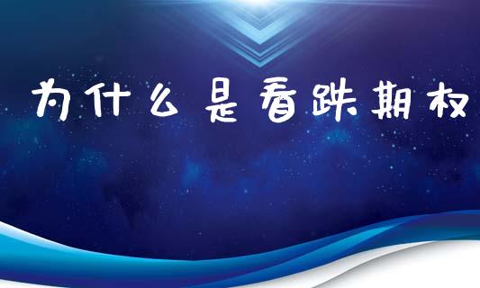 为什么是看跌期权_https://cj002.lansai.wang_期货问答_第1张