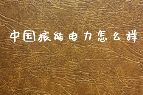 中国核能电力怎么样_https://cj002.lansai.wang_会计问答_第1张