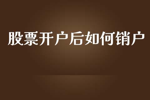 股票开户后如何销户_https://cj002.lansai.wang_期货问答_第1张