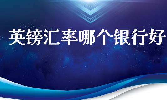 英镑汇率哪个银行好_https://cj002.lansai.wang_财经问答_第1张
