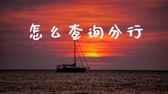 怎么查询分行_https://cj002.lansai.wang_金融问答_第1张