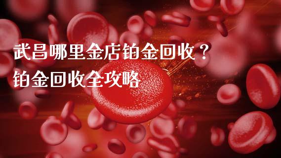 武昌哪里金店铂金回收？ 铂金回收全攻略_https://cj002.lansai.wang_会计问答_第1张