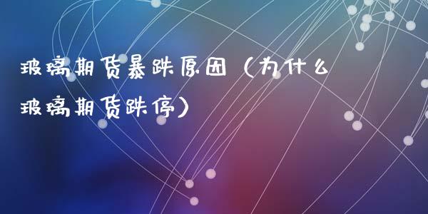 玻璃期货暴跌原因（为什么玻璃期货跌停）_https://cj002.lansai.wang_金融问答_第1张