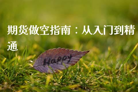 期货做空指南：从入门到精通_https://cj002.lansai.wang_会计问答_第1张