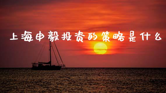 上海申毅投资的策略是什么_https://cj002.lansai.wang_财经百问_第1张