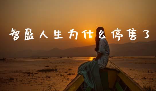 智盈人生为什么停售了_https://cj002.lansai.wang_理财问答_第1张