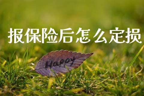 报保险后怎么定损_https://cj002.lansai.wang_保险问答_第1张