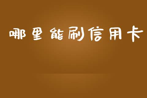 哪里能刷信用卡_https://cj002.lansai.wang_金融问答_第1张