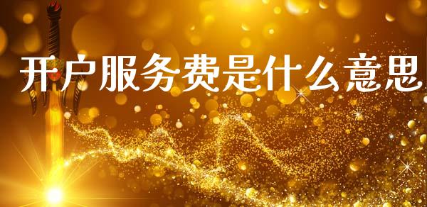开户服务费是什么意思_https://cj002.lansai.wang_理财问答_第1张