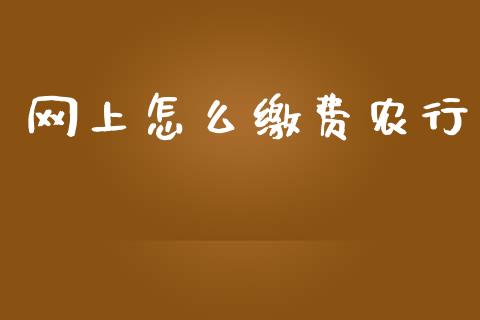 网上怎么缴费农行_https://cj002.lansai.wang_金融问答_第1张
