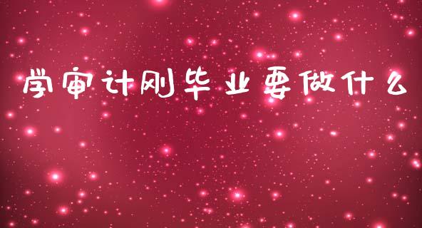 学审计刚毕业要做什么_https://cj002.lansai.wang_会计问答_第1张