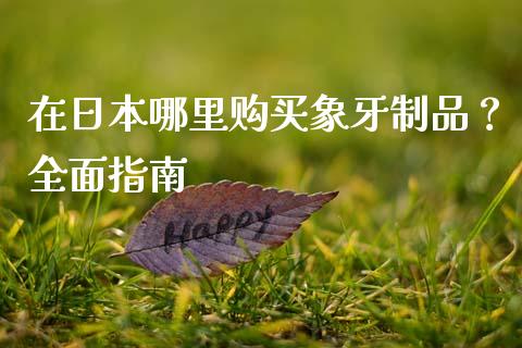 在日本哪里购买象牙制品？全面指南_https://cj002.lansai.wang_会计问答_第1张