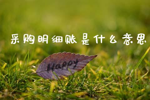 采购明细账是什么意思_https://cj002.lansai.wang_会计问答_第1张