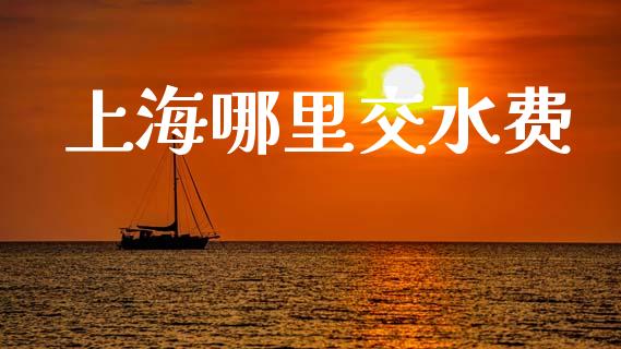 上海哪里交水费_https://cj002.lansai.wang_股市问答_第1张