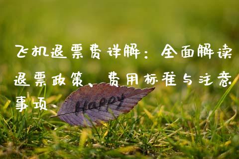 飞机退票费详解：全面解读退票政策、费用标准与注意事项_https://cj002.lansai.wang_财经百问_第1张
