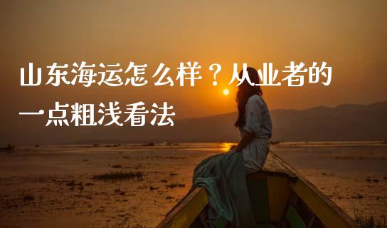 山东海运怎么样？从业者的一点粗浅看法_https://cj002.lansai.wang_理财问答_第1张