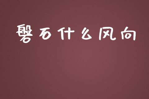 磐石什么风向_期货问答_第1张_财经百问网 磐石什么风向_https://cj002.lansai.wang_期货问答_第1张
