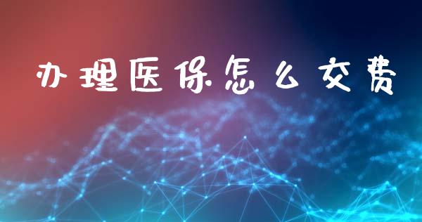 办理医保怎么交费_https://cj002.lansai.wang_保险问答_第1张