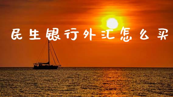 民生银行外汇怎么买_https://cj002.lansai.wang_财经问答_第1张