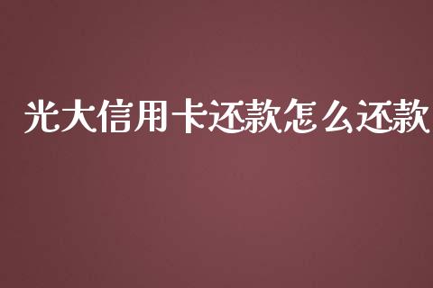 光大信用卡还款怎么还款_https://cj002.lansai.wang_金融问答_第1张