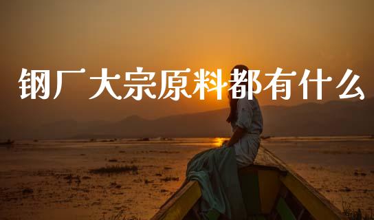 钢厂大宗原料都有什么_https://cj002.lansai.wang_金融问答_第1张