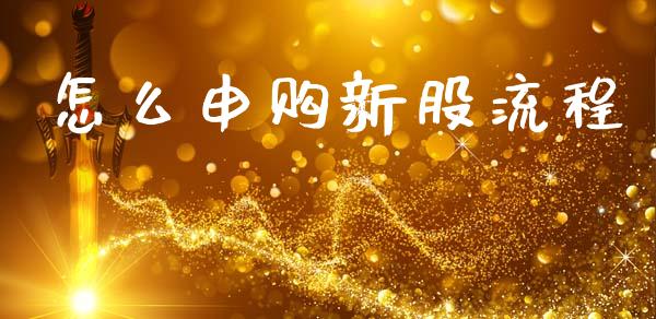 怎么申购新股流程_https://cj002.lansai.wang_财经百问_第1张
