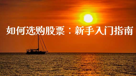 如何选购股票：新手入门指南_https://cj002.lansai.wang_期货问答_第1张