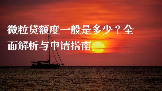 微粒贷额度一般是多少？全面解析与申请指南_https://cj002.lansai.wang_会计问答_第1张