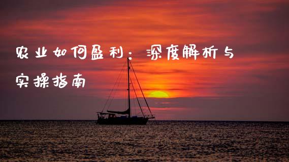 农业如何盈利：深度解析与实操指南_https://cj002.lansai.wang_理财问答_第1张