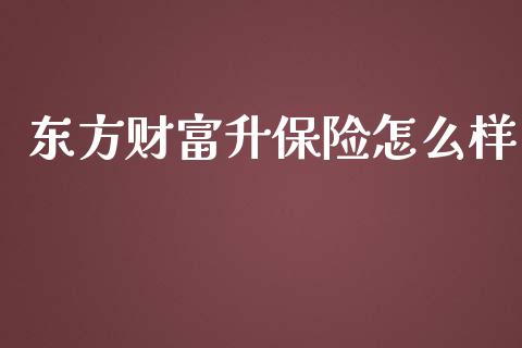 东方财富升保险怎么样_https://cj002.lansai.wang_保险问答_第1张