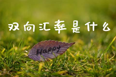 双向汇率是什么_https://cj002.lansai.wang_财经问答_第1张