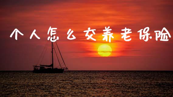 个人怎么交养老保险_https://cj002.lansai.wang_保险问答_第1张