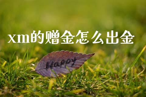 xm的赠金怎么出金_https://cj002.lansai.wang_财经问答_第1张