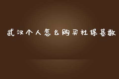 武汉个人怎么购买社保基数_https://cj002.lansai.wang_保险问答_第1张