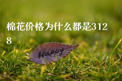 棉花价格为什么都是3128_会计问答_第1张_财经百问网 棉花价格为什么都是3128_https://cj002.lansai.wang_会计问答_第1张