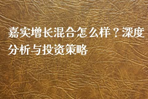 嘉实增长混合怎么样？深度分析与投资策略_https://cj002.lansai.wang_期货问答_第1张